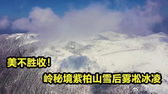 小孔雀逃脱