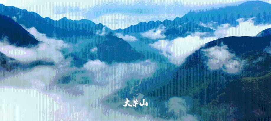 影视仓 海外版-知识问答网页助你解疑答惑